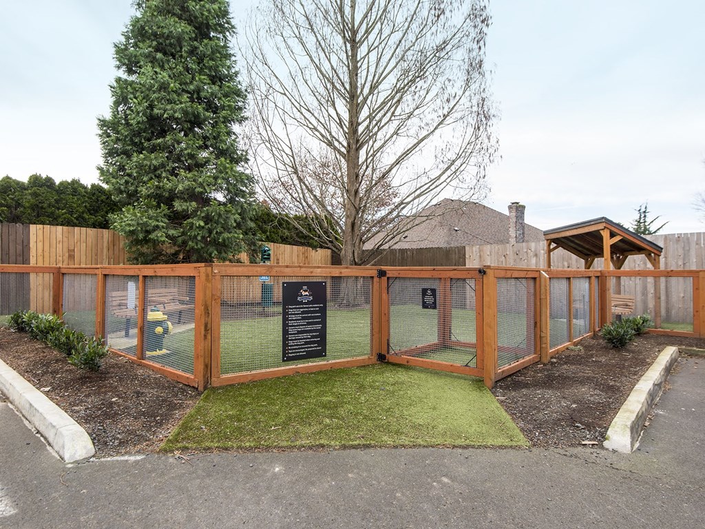 Sienna Lofts dog park