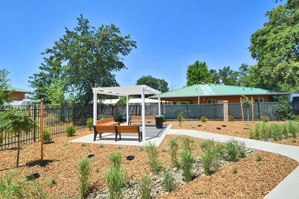 our apartments showcase a beautiful dog park