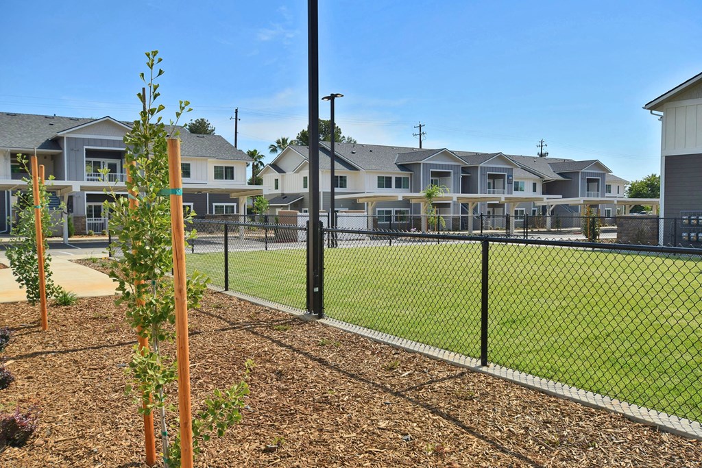 the preserve at ballantyne commons community dog park