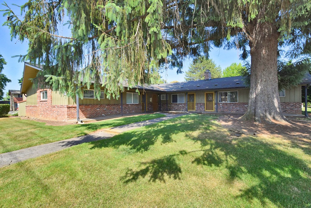 a home with a large tree in front of it