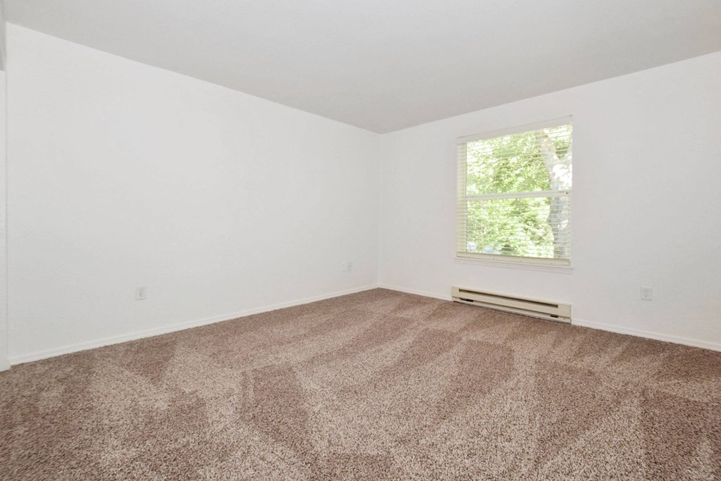 an empty room with carpet and a window