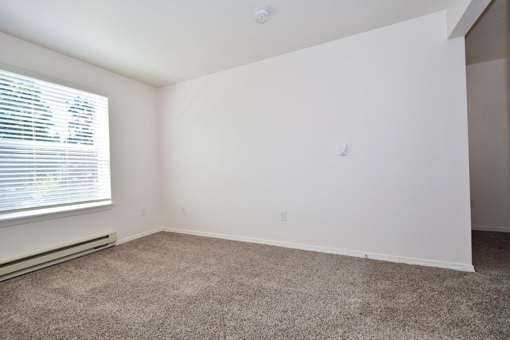 an empty room with carpet and a window