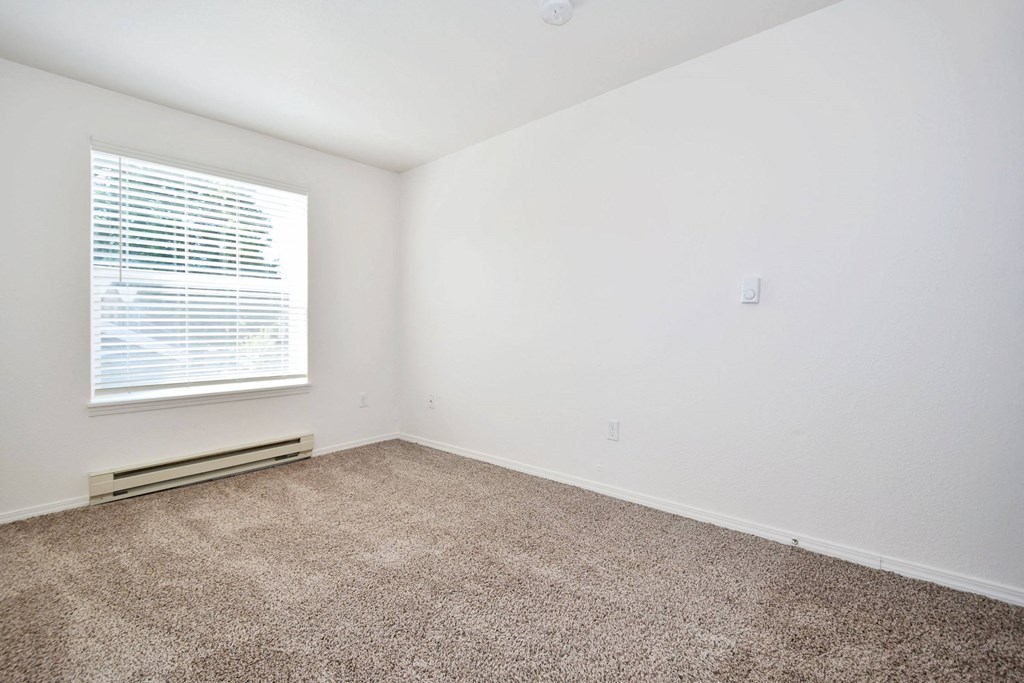 an empty room with carpet and a window