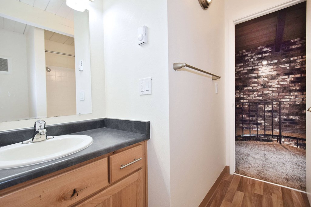 a bathroom with a sink and a shower