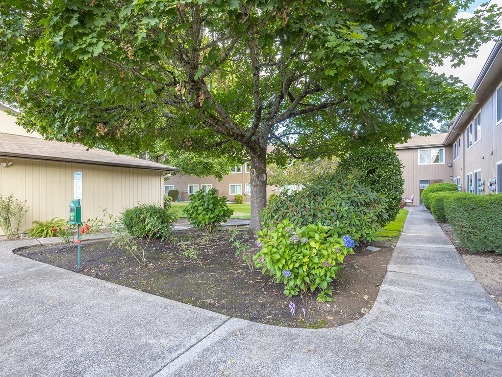 a sidewalk in front of an apartment building with trees and plants