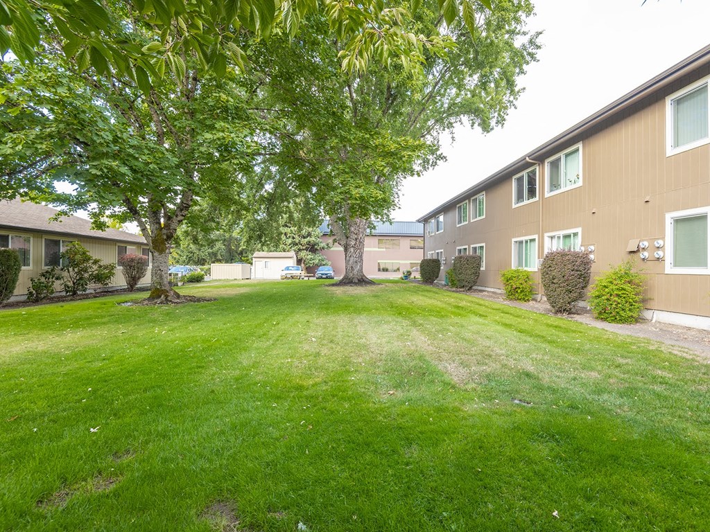 our apartments have a spacious yard with green grass and trees