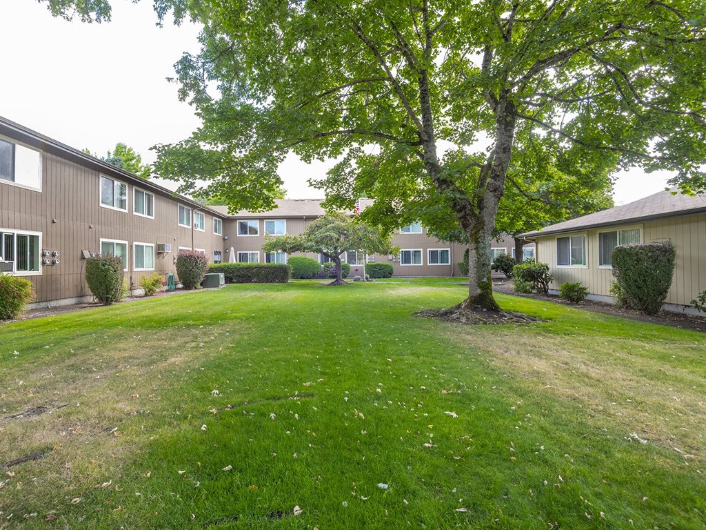the view of a yard between two apartment buildings