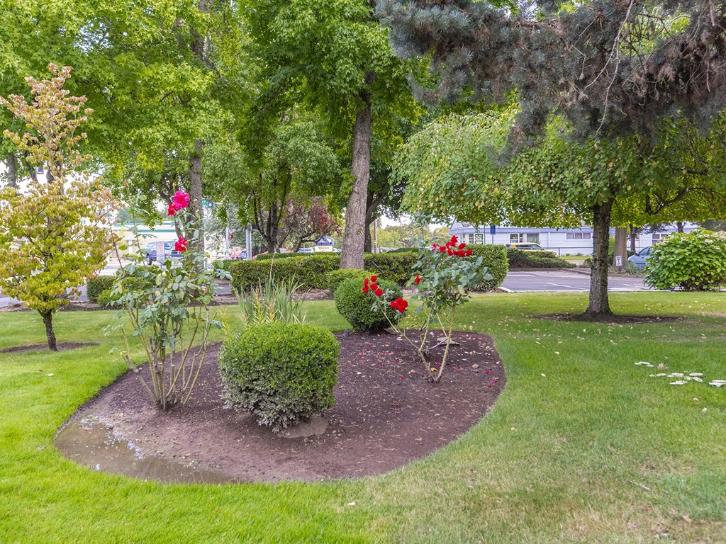 a park with trees and flowers in the grass