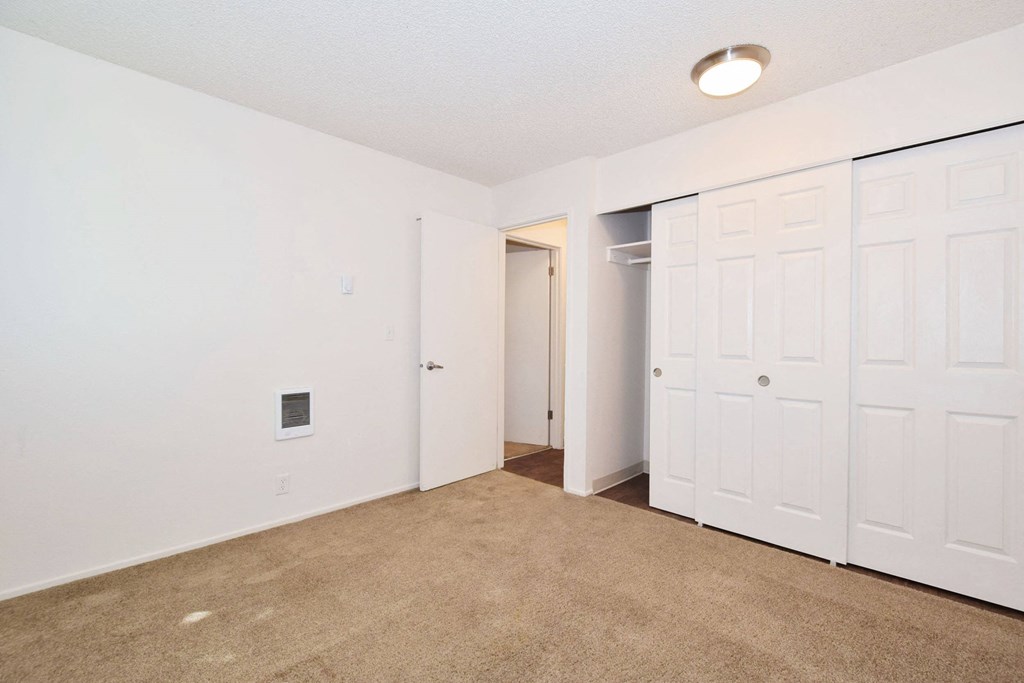 a bedroom with two closets and a carpeted floor