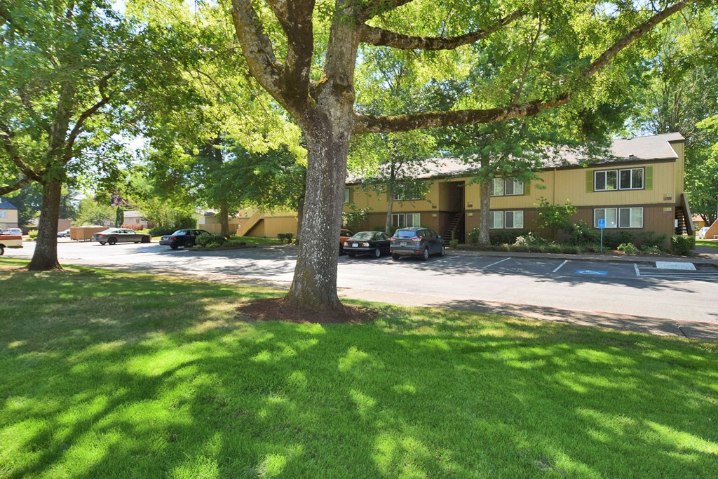 a large tree in a grassy area with a yellow building in the background