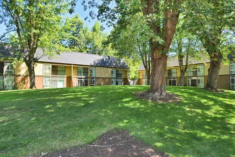our apartments showcase a beautiful lawn