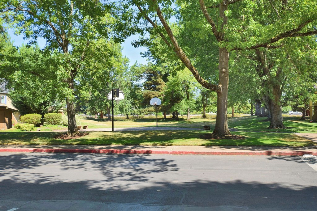 a street with trees on both sides and a basketball court in the middle of the street