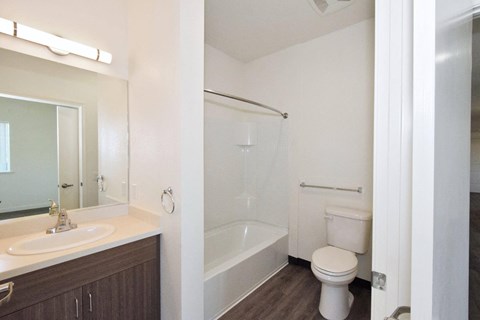 a bathroom with a shower toilet and sink and a mirror