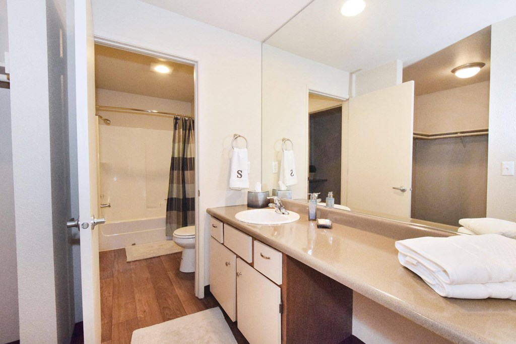 a bathroom with a sink and a toilet