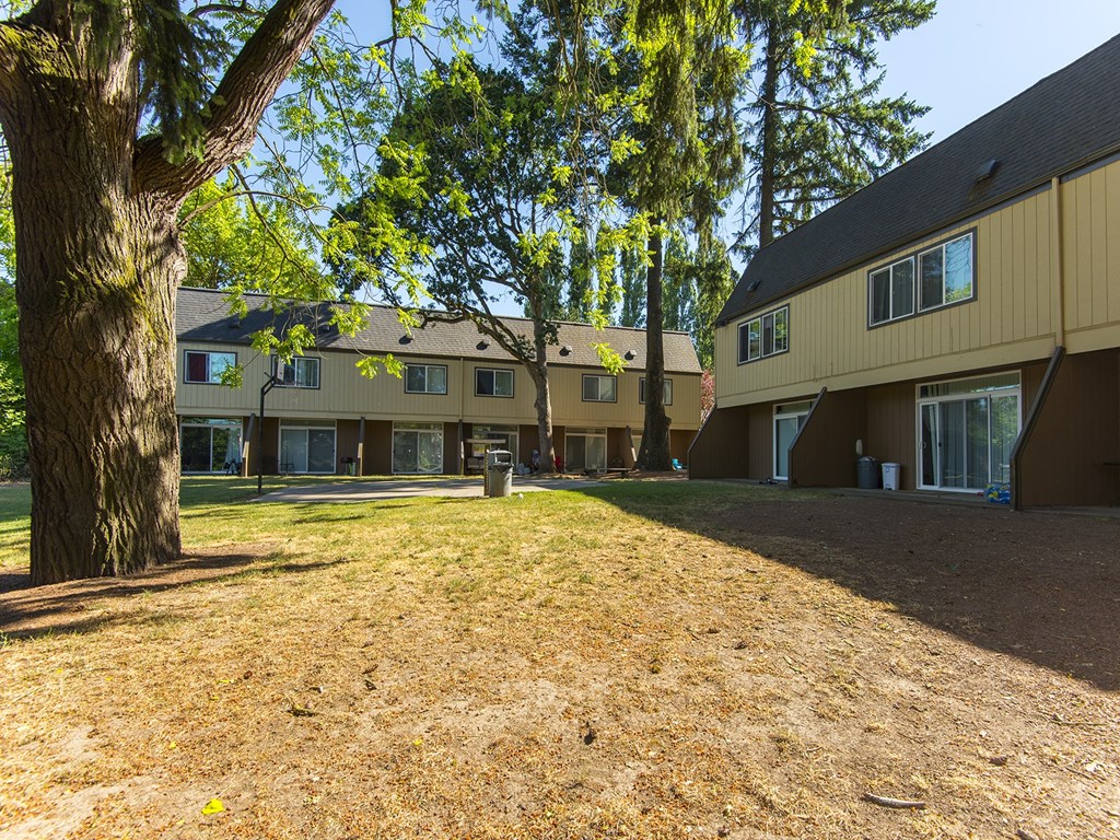 a group of houses with a large yard and a tree