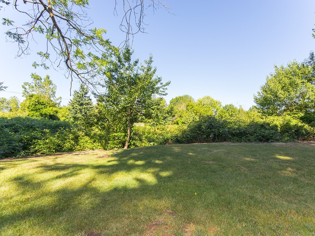 a grassy field with trees in the background