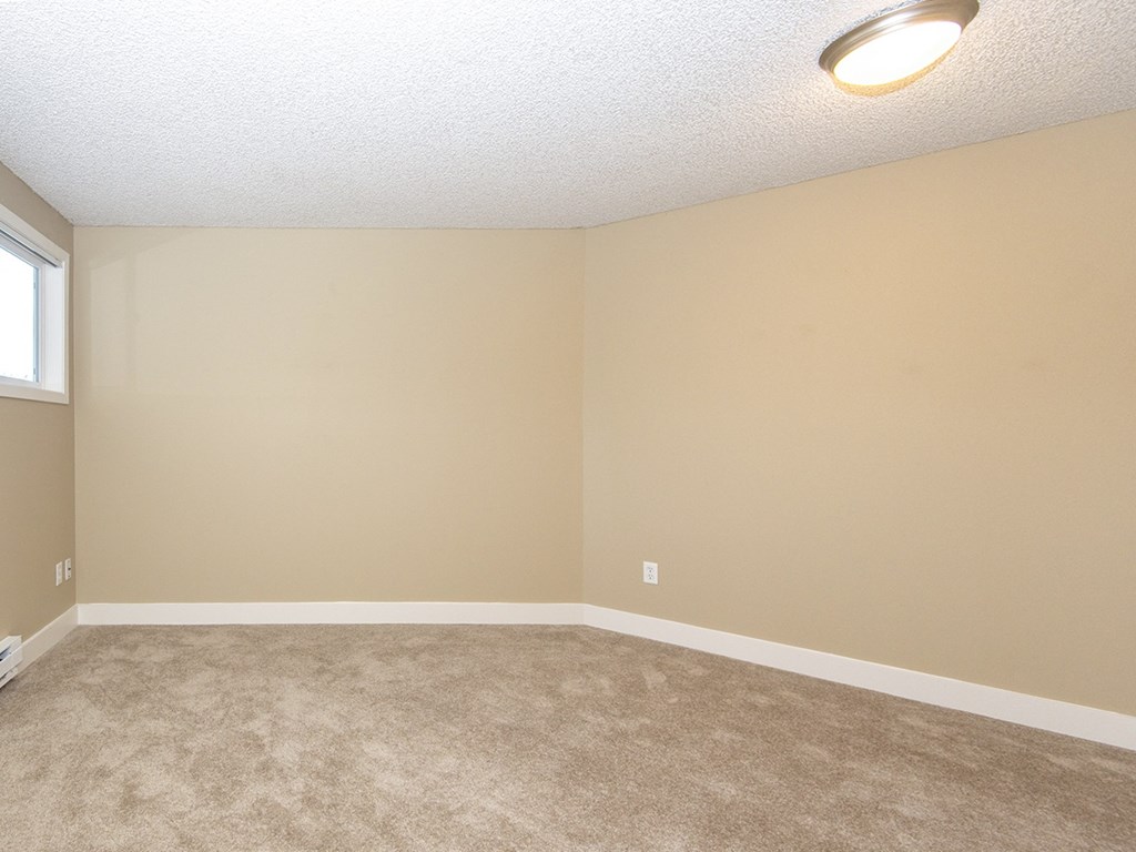 an empty living room with carpet and a window