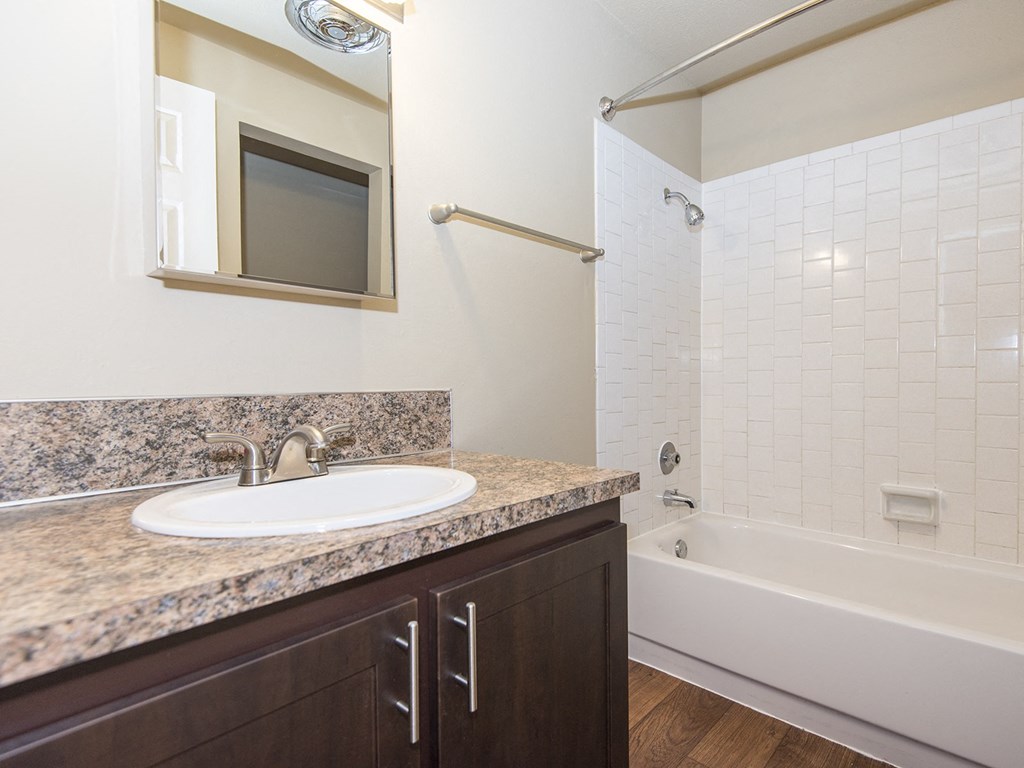 a bathroom with a sink and a shower and a bath tub