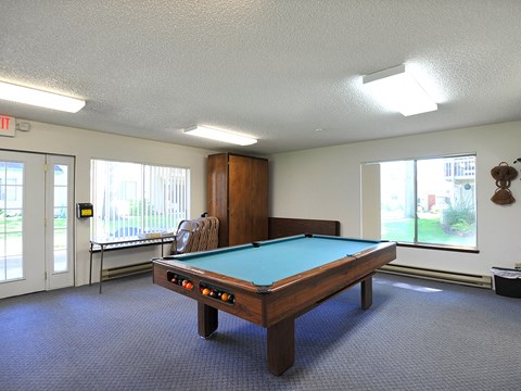 a game room with a pool table and two windows
