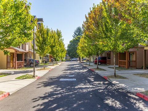 Calico Place street
