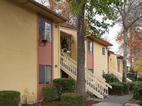 Countrywood Manor exteruir
