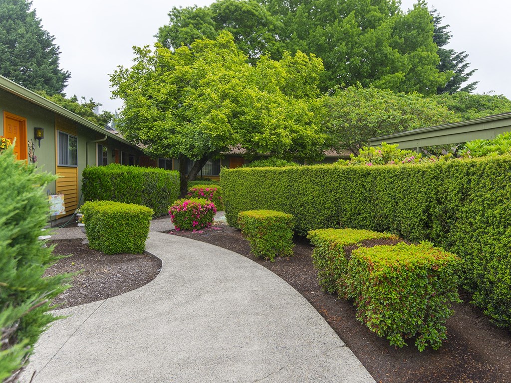a walkway in front of a house with hedges and plants