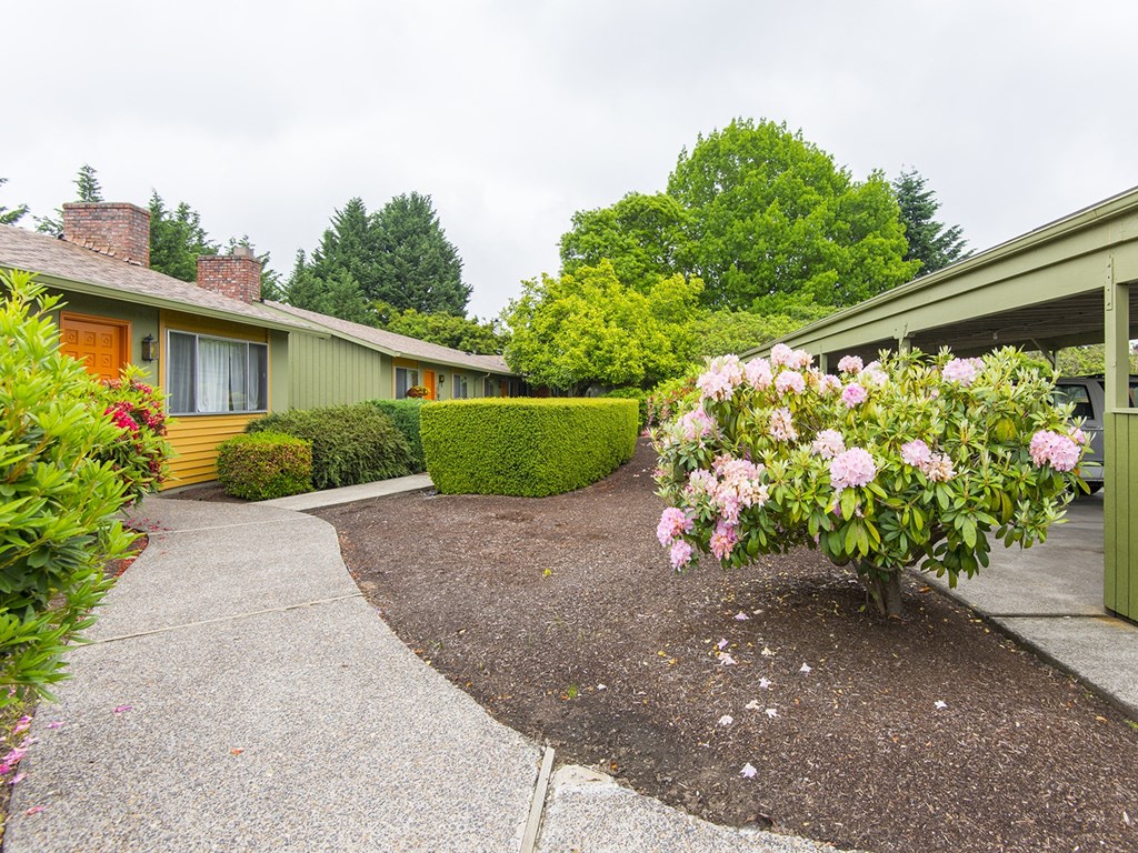 a yard with flowers in front of a house