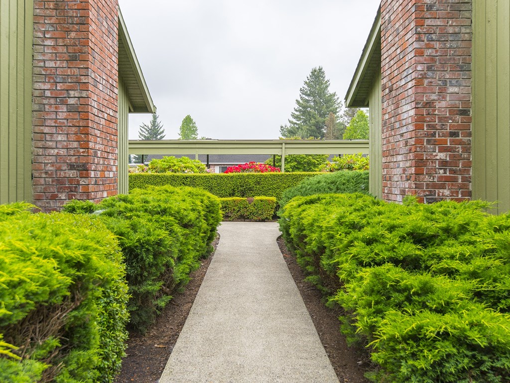 a walkway leading to a house with green hedges