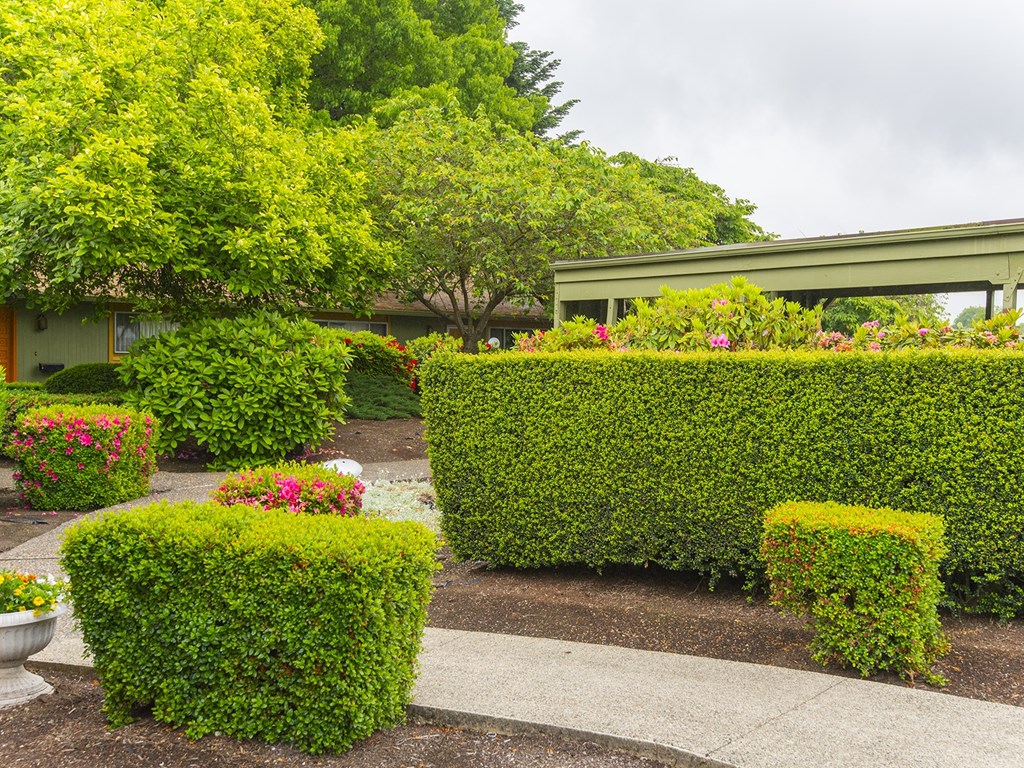 a group of hedges and flowers in front of a house