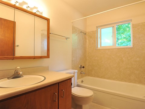 elizabeth anne bathroom