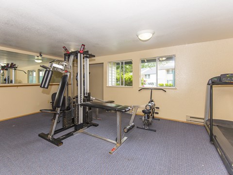 Willow Creek: gym with a treadmill and exercise equipment