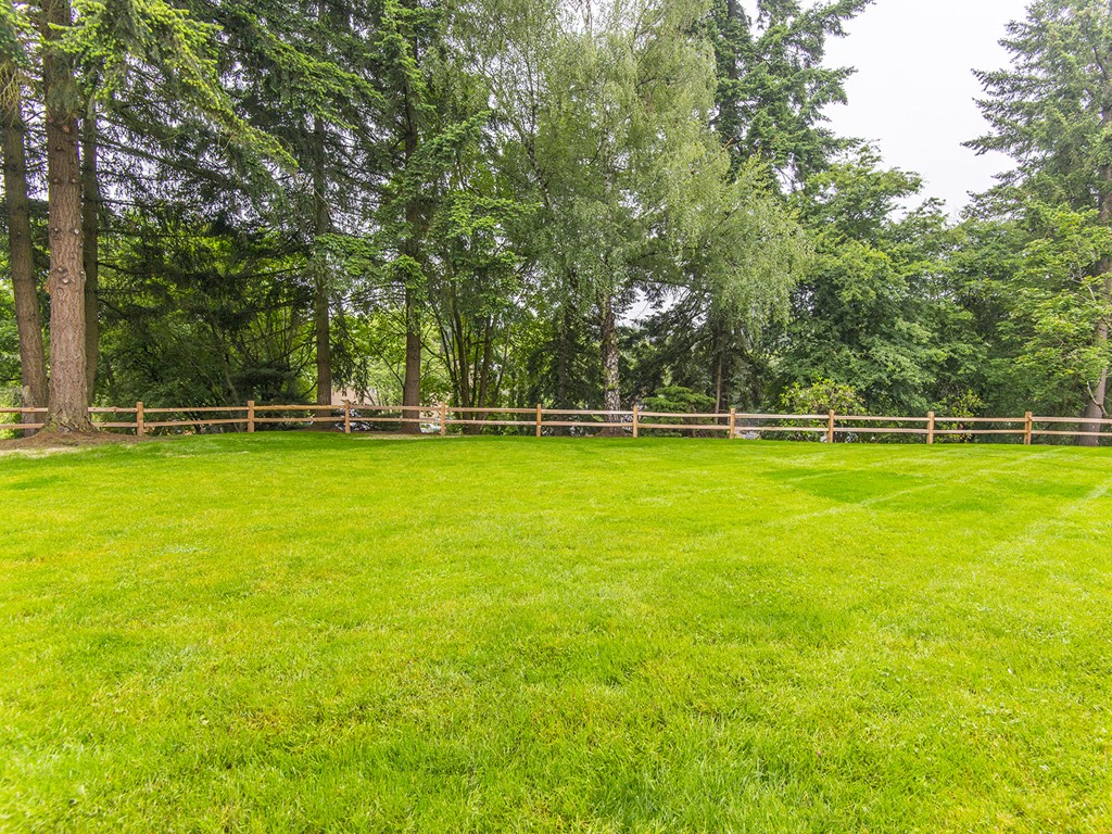 Gladstone Forest landscaping