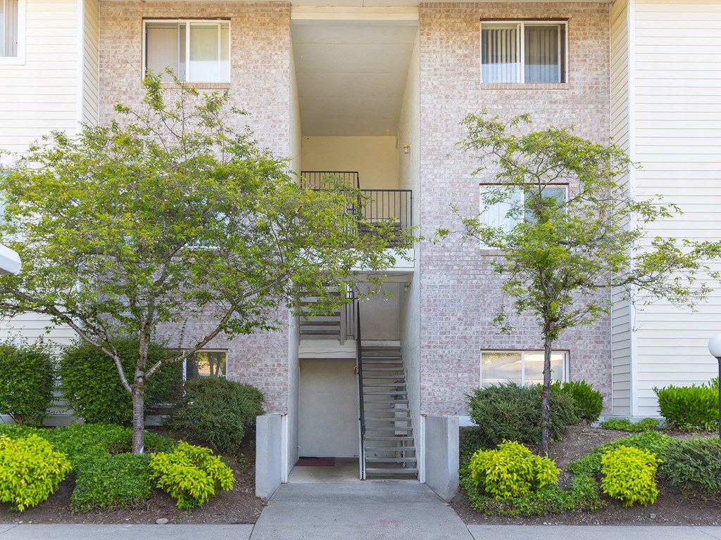 Vista Highlands Breezeway Trees