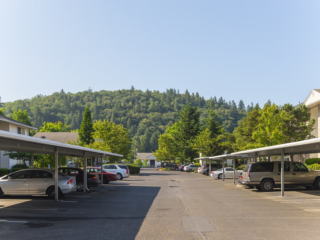 Vista Highlands Driveway