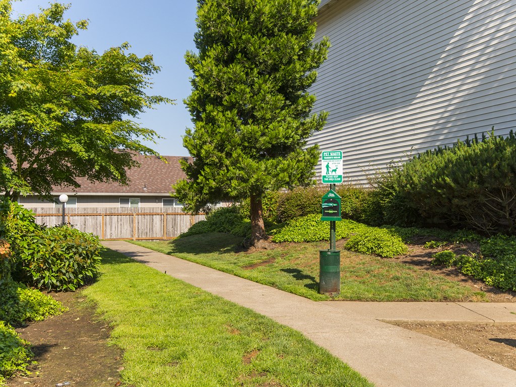 Vista Highlands Pathway
