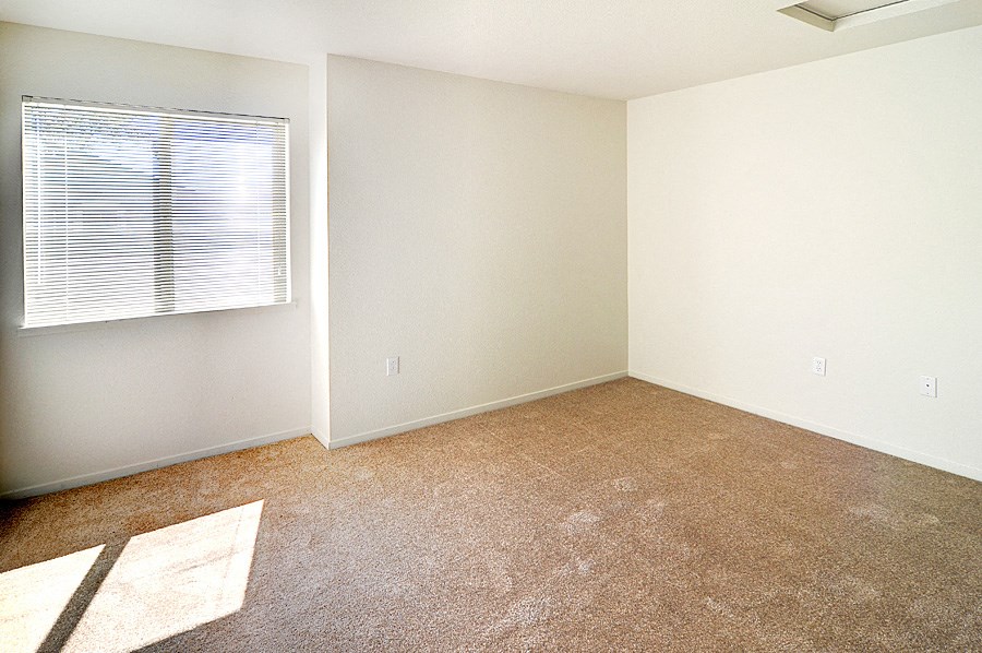 an empty room with carpet and a window