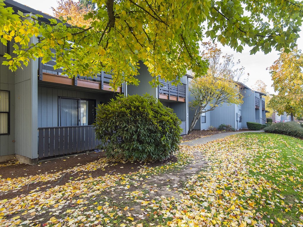 our apartments offer a walking path in the fall