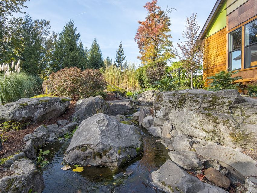 Squires Court Waterfall - Photo Gallery