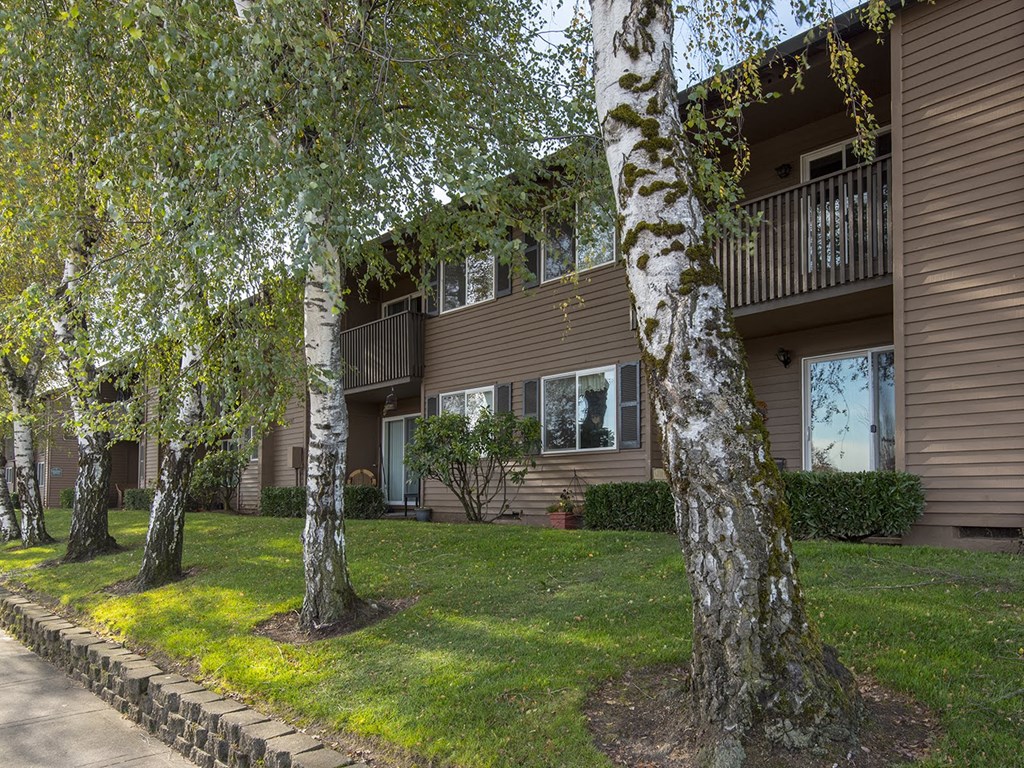 a group of birch trees in front of an apartment building