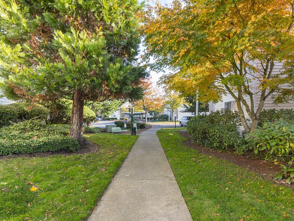 Vista Highlands Pathway