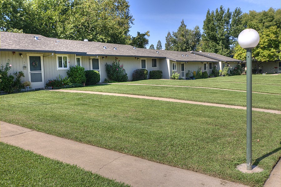 a yard in front of a row of houses