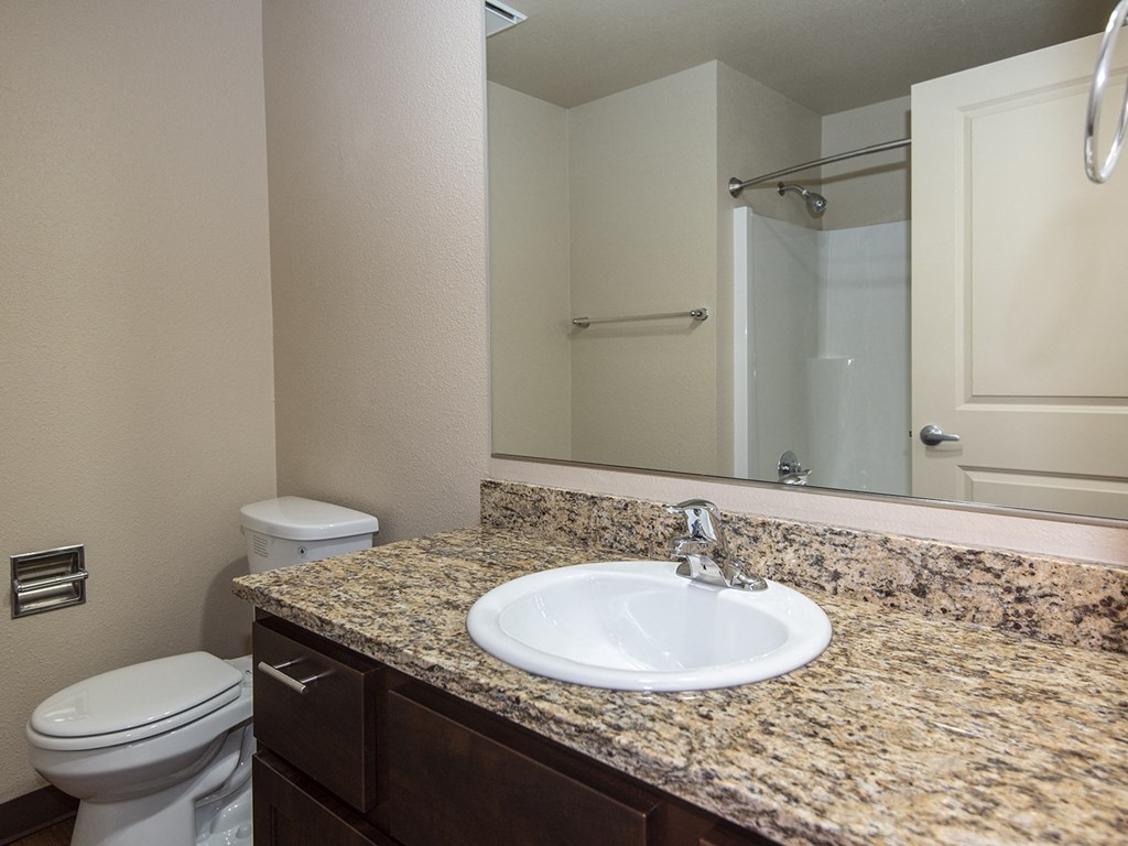 The Springs Unit Bathroom