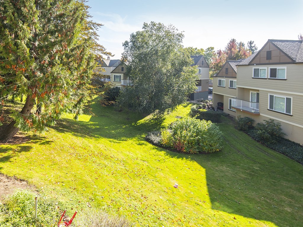 The Springs Landscaping