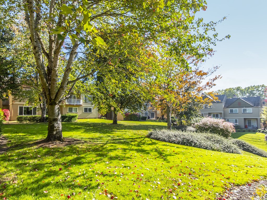 The Springs Landscaping