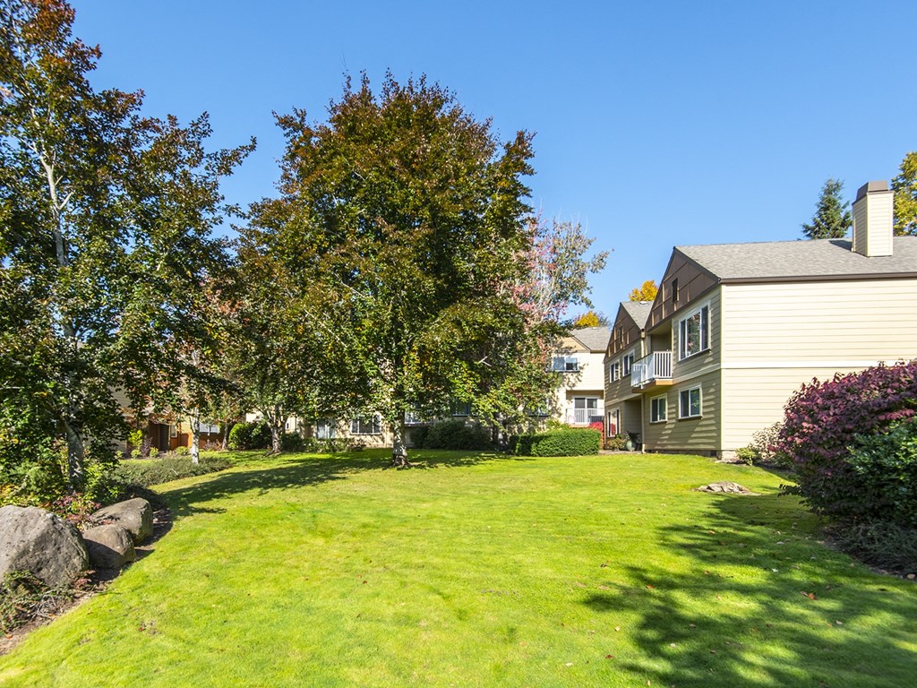 The Springs Landscaping