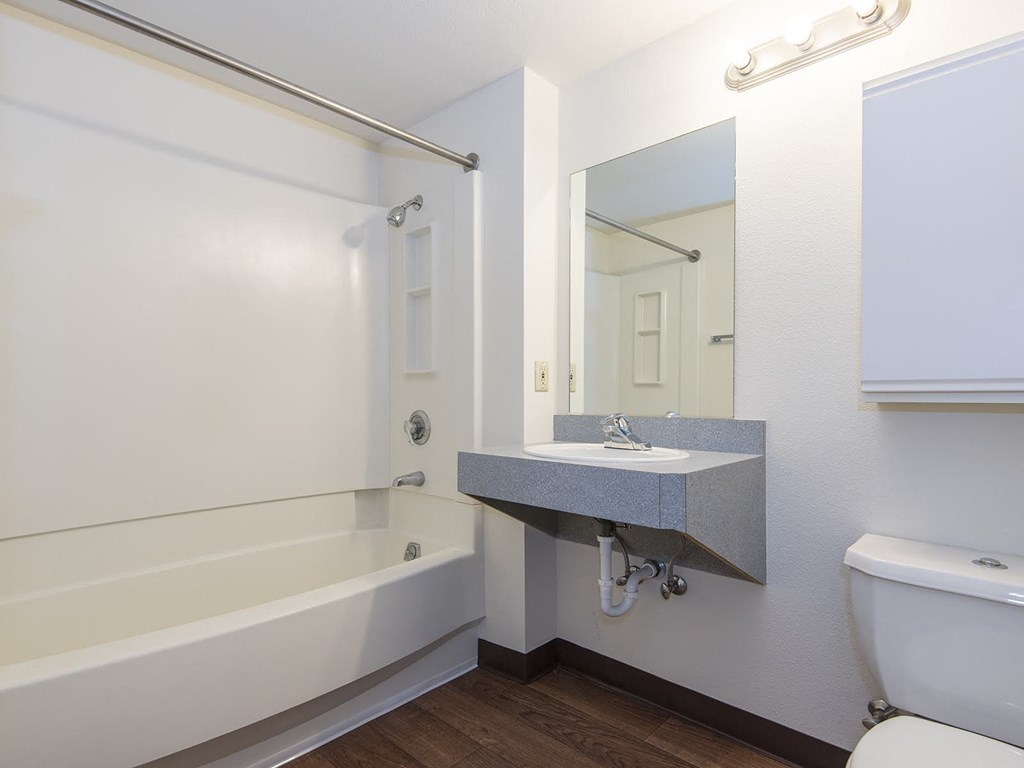 a bathroom with a sink and a tub and a mirror