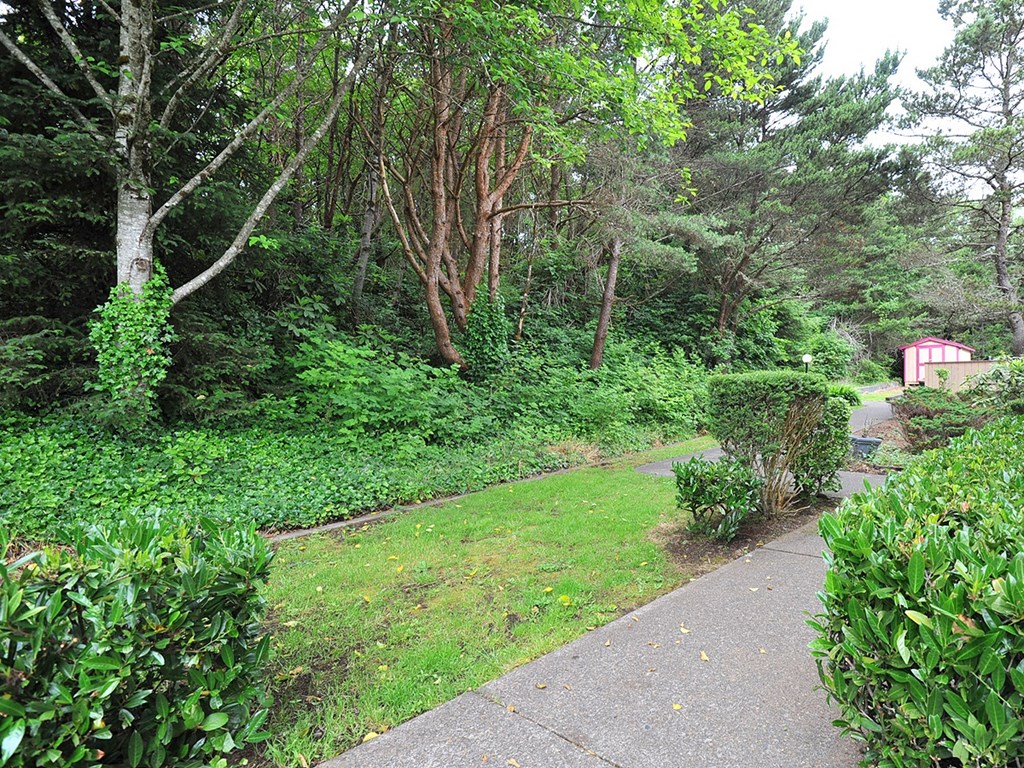 a path through a garden with trees and bushes