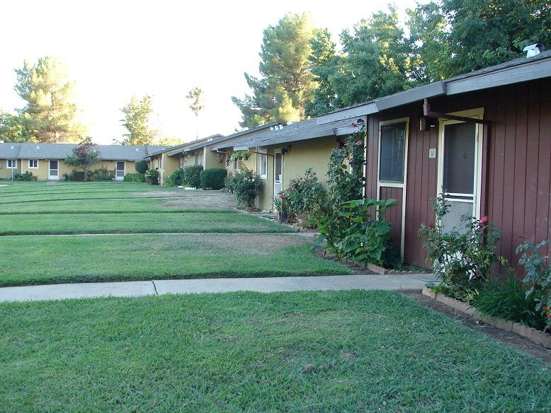 a row of houses in a yard