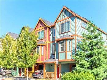 Calico Place multi-colored front facades in Summer