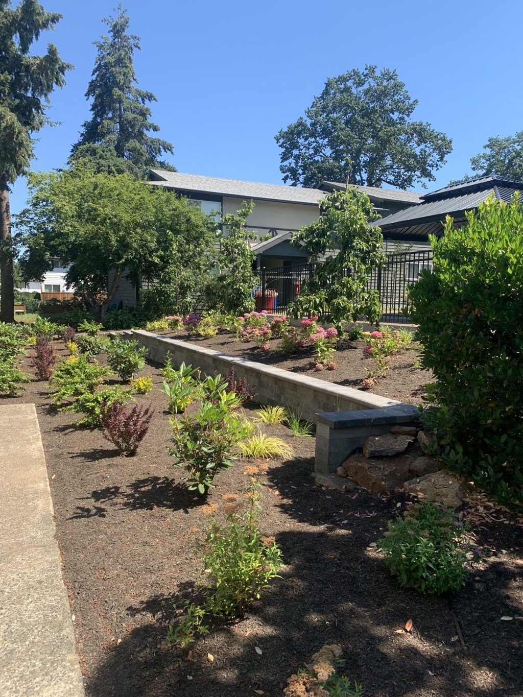 A garden with a bench and a building in the background.